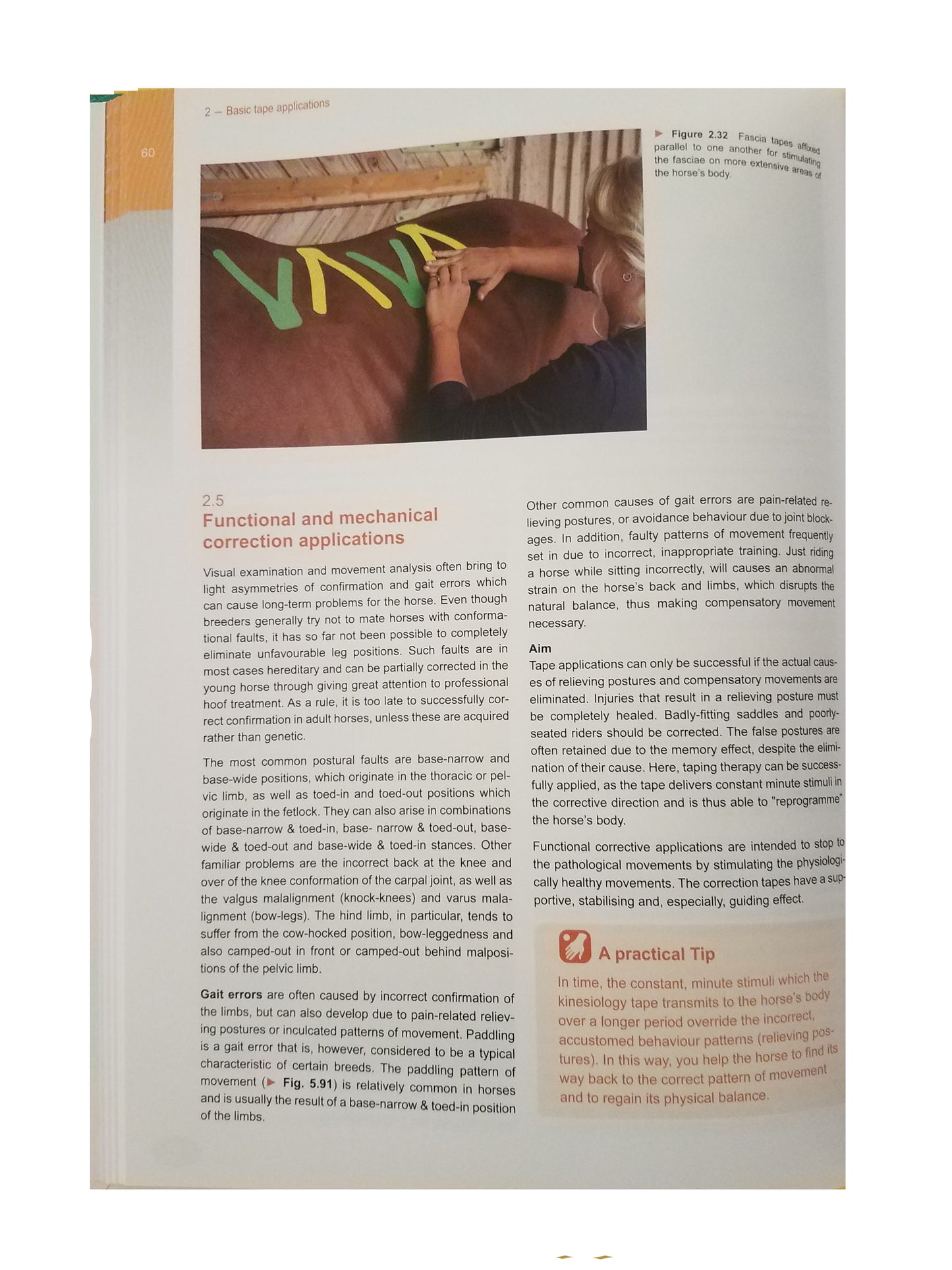 MTC Equine Manual - Page