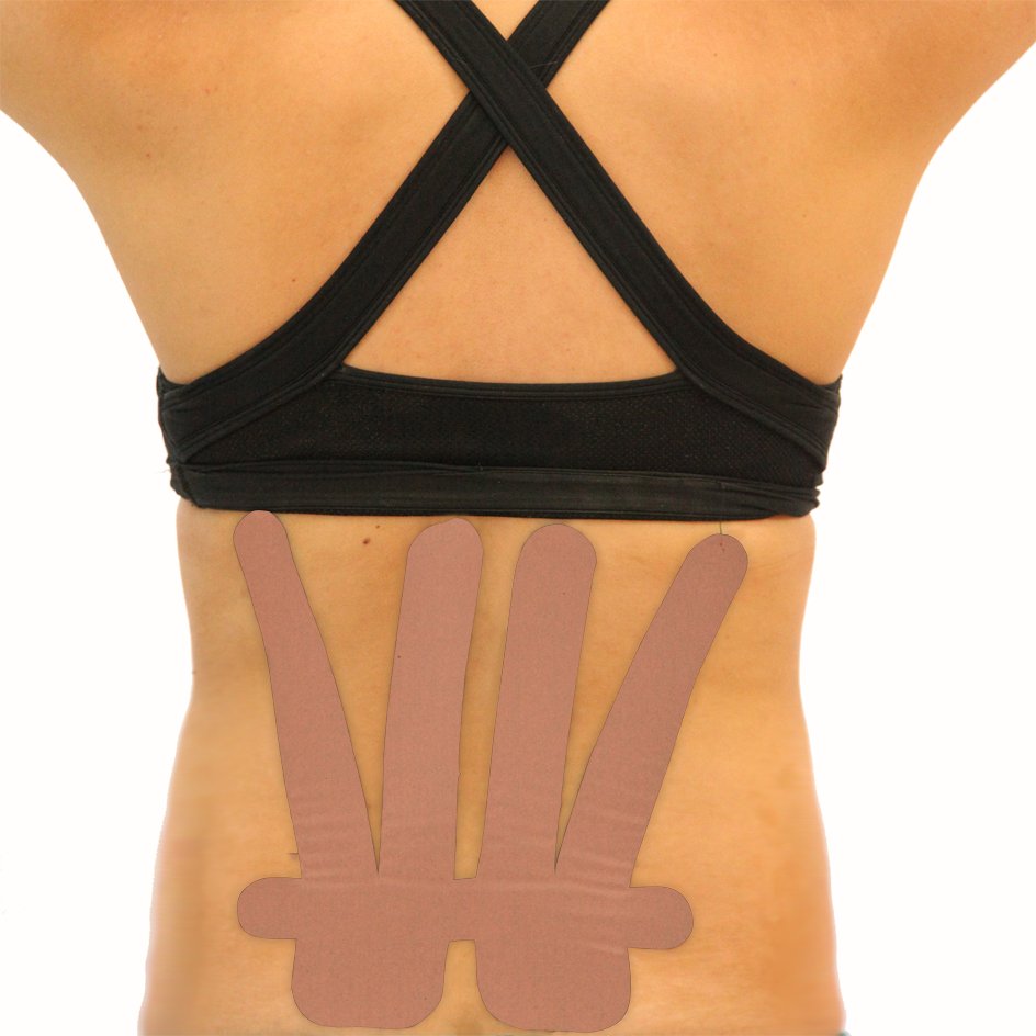 Kindmax Lower Back Support - Beige
