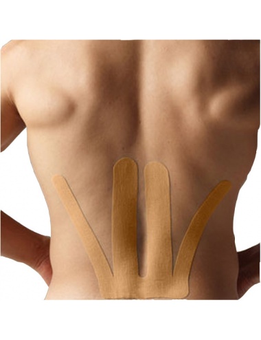 SpiderTech Precut Lower Back Tape Beige