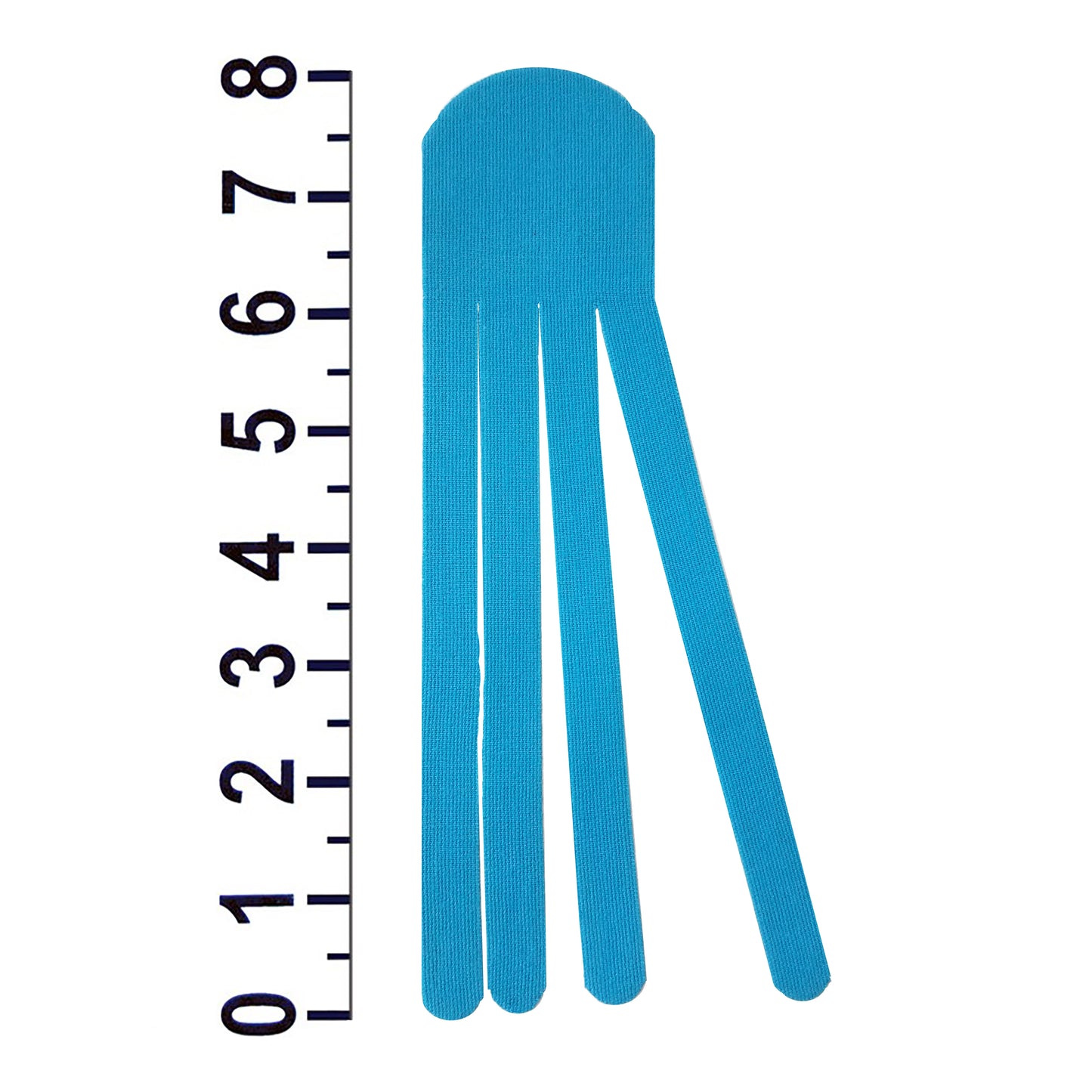 Nasara 8" Edema Half Extended Fan With Scale